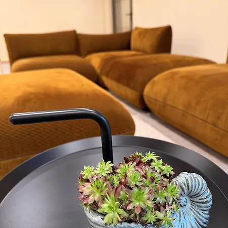 Haus Meeresstern 酒店 万根沃格